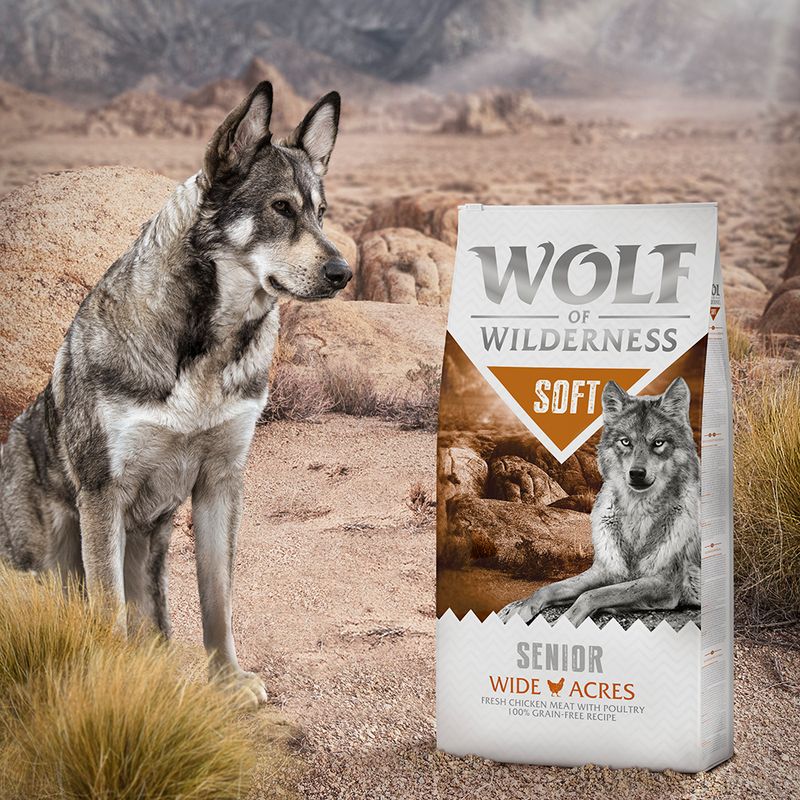 Wolf of Wilderness Senior Soft "Wide Acres" - Chicken || Wolf of Wilderness || view 4