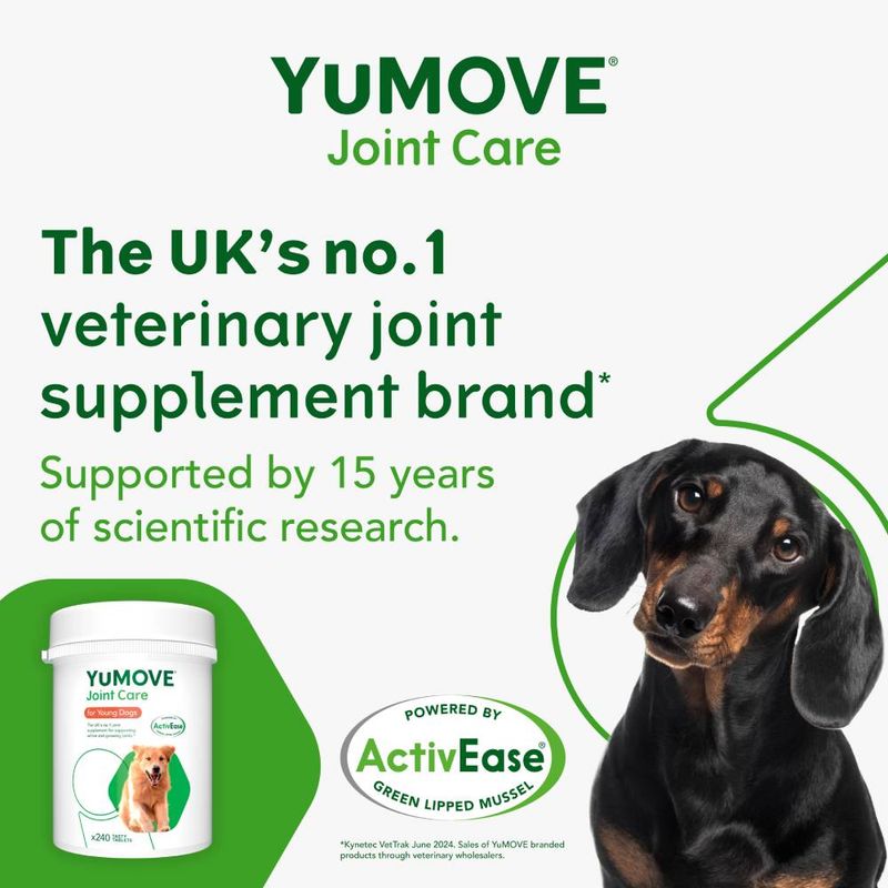 YuMOVE Joint Care for Young Dogs || YuMOVE || view 4
