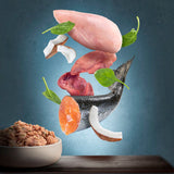Ingredients: chicken breast, fish, coconut, spinach and meat pieces. Bowl with shredded pet food.