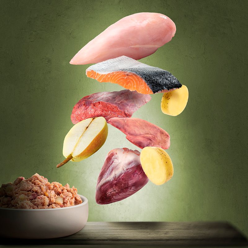 Ingredients: chicken meat, salmon, beef, apple, potato and heart. Display of fresh ingredients above a bowl with prepared food.