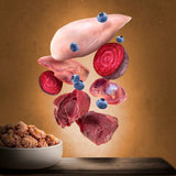 Ingredients: chicken breast, beef liver, beetroot, blueberries and pieces of meat over a bowl with prepared pet food.