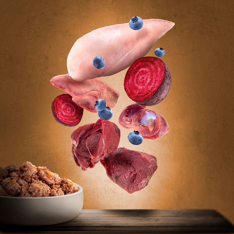Ingredients: chicken breast, beef liver, beetroot, blueberries and pieces of meat over a bowl with prepared pet food.