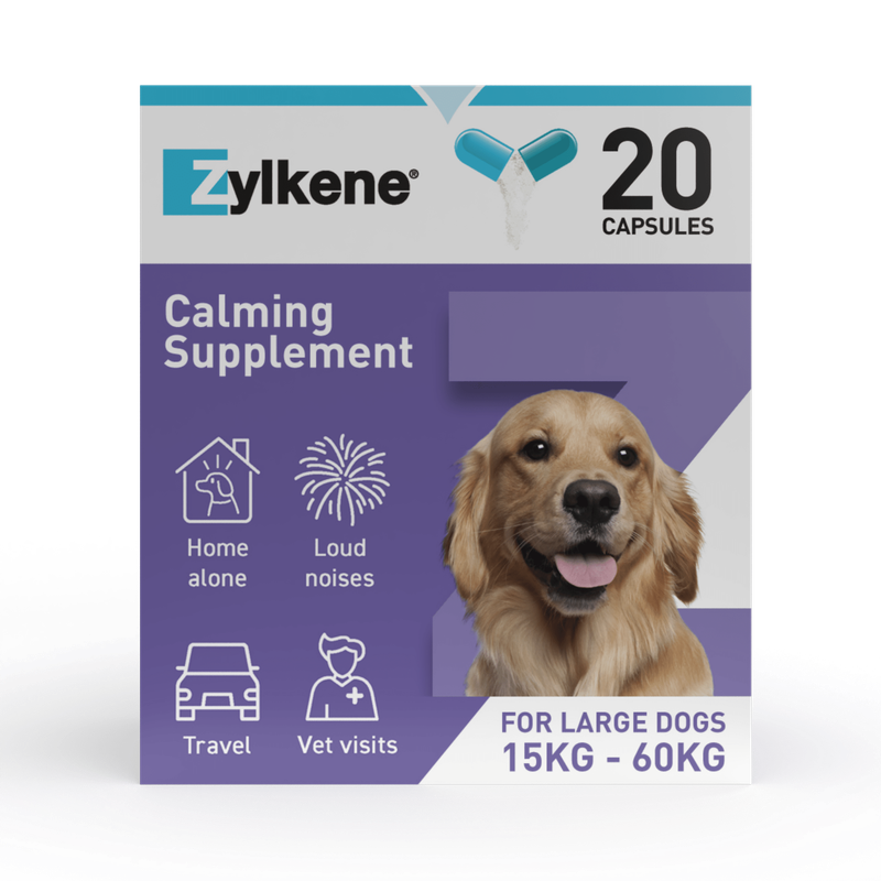 Zylkene Calming Supplement, 20 capsules. For large dogs, 15kg–60kg. Suitable for being alone, loud noises, travel and vet visits.