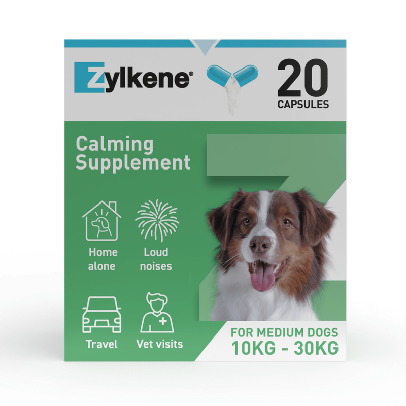 Zylkene Calming Supplement, 20 capsules. For medium-sized dogs, 10kg–30kg. Notes: Home alone, Loud noises, Travel, Vet visits.